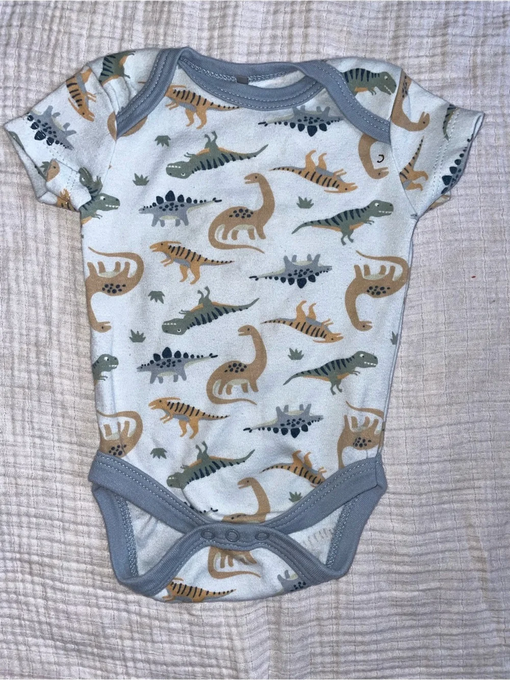 Baby Dinosaur Bodysuit Bundle - Orange, Rust, Light Blue, Olive, Cream